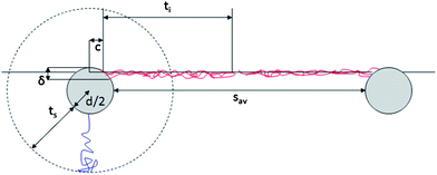 Schematic representation of shell conformation and NP arrangement at the interface. The drawing is to scale for L5.