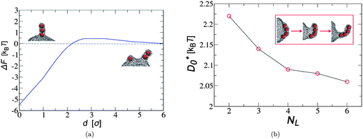 (a) Free energy as a function of the separation of a two-particle tube and a single membrane-bound particle. (b) Onset D0 needed for tubulation to occur as a function of the length of the preformed linear aggregate. The inset shows snapshots of the tubule extrusion process. Reprinted with permission from ref. 165.