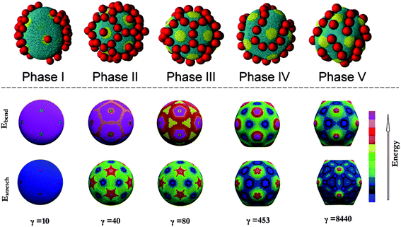 Upper panel: representative snapshots of the ordered phases formed on an elastic sphere as a function of the Föppl–Von Kármán number γ. Bottom panel: corresponding bending energy map (top) and stretching energy map (bottom). Different shades indicate the relative strengths as indicated in the color map on the side. Reprinted with permission from ref. 173.