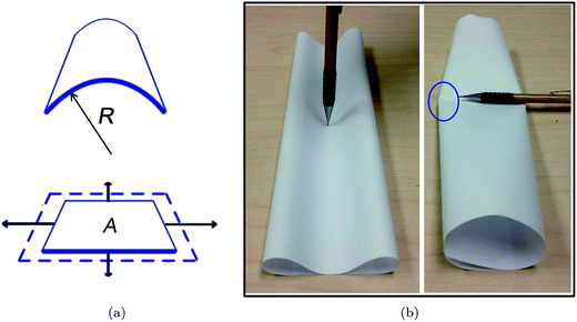 (a) A bending (top panel) and a stretching (bottom panel) deformation of a thin sheet. (b) Stretch-free deformation along a zero-curvature direction on a thin cylinder (left panel). d-cone formed as a result of a stretch-inducing deformation (right panel).