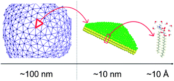 From implicit to full atomistic: schematic illustration of representative membrane models at different length scales. From left to right: triangulated network, three-bead per lipid coarse-grained (CG) model, atomistic representation.