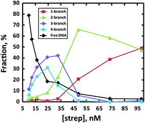 Effect of streptavidin concentration on the distribution of DNA nanostar templates. A fixed concentration of B-DNA541 (49 nM) was mixed with a streptavidin concentration ([strep]) varying from 10 to 100 nM in 0.2 M NaCl. For each sample, the mixture was diluted 100-fold, deposited on the mica surface and analyzed by AFM. The observed structures were categorized into 5 types: free DNA, 1-, 2-, 3-, or 4-branch conjugates. The graph shows the fraction of DNA molecules incorporated in each type as a function of streptavidin concentration.