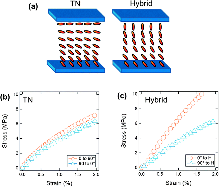 (a) Illustrations of the twisted nematic (TN) and hybrid geometries of the LCN materials. (b) Mechanical properties measured in films with dimension 6 mm (L) × 0.5 mm (W) × 8 μm (T) for (b) TN and (c) hybrid azo-LCN.