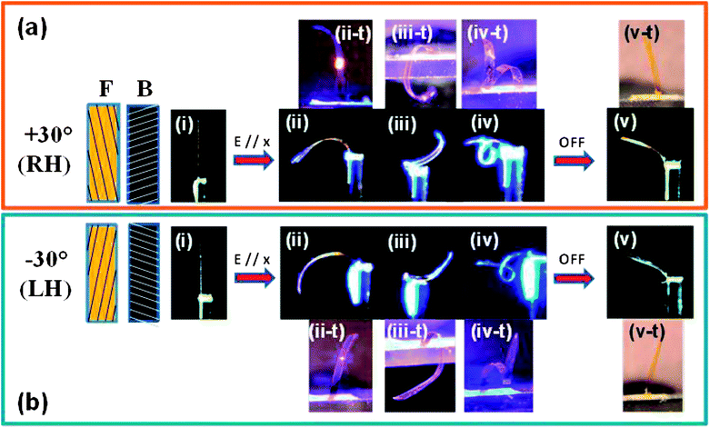 Flexural–torsional deflection in TN azo-LCN cantilevers. (a) TN azo-LCN samples were cut such that the nematic director on the front surface was (a) +30° and (b) −30°. For both (a) and (b) images are labeled (i)–(v) denoting (i) before exposure, (ii) 30 mW cm−2, (iii) 190 mW cm−2, (iv) 270 mW cm−2, and (v) after 3 days of relaxation. Images marked with (-t) are taken from above. All tests employed cantilevers of dimension 6 mm (L) × 0.5 mm (W) × 8 μm (T).