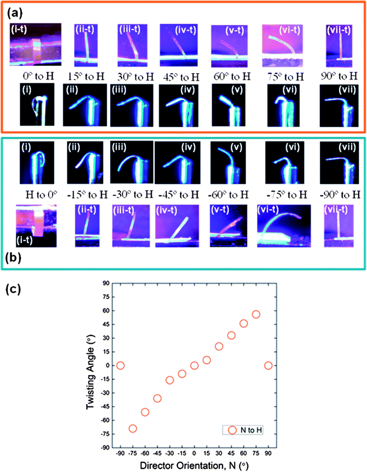 Deflection to the left (a) or right (b) of cantilevers composed from hybrid azo-LCN when subjected to 270 mW cm−2 of 445 nm light for 10 minutes. Images labeled (i → vii) are taken from the side while images labeled (i-t → vii-t) are taken from above. Note, the planarly aligned surface of the hybrid azo-LCN sample was placed on the exposed surface in all samples but that labeled H to 0° in which the homeotropic surface was placed on the exposed surface. (c) Summary of the dependence of out-of-plane twist angle as a function of director orientation of the front surface (homeotropic alignment on back surface).