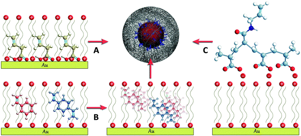 Schematic representation of the three different approaches developed for the surface functionalization with vinyl groups of CTAB stabilized gold nanoparticles: (A) butenoic acid, (B) styrene and divinylbenzene and (C) polyacrylic-N-allyl acid polyelectrolyte (see the text for details).