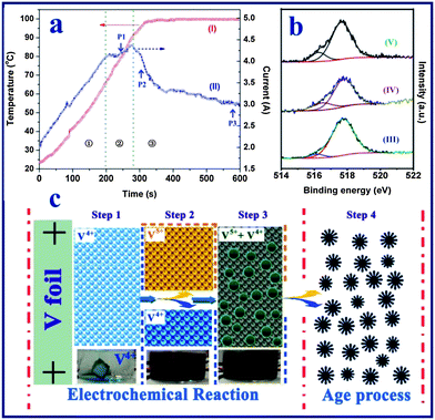 (a) Real-time observation of solution temperature (curve I) and anodization current (curve II) of vanadium foil anodized at a constant voltage of 20 V in a NaCl aqueous solution. (b) High resolution XPS spectra of the vanadium element of the vanadium oxide samples obtained at different stages of the reaction process: after electrochemical reaction for 10 min (curve III), after aging treatment for 24 h (curve IV), and after aging treatment for 48 h (curve V). (c) The proposed scheme for the formation of the hierarchical vanadium oxide nanoflowers. Step 1: formation of the VO2+ ion in the electrolyte; step 2: formation of the V4+ and V5+ mixture solution at high temperature; step 3: formation of mixed-valence vanadium oxide powder at high temperature; step 4: aging process of the vanadium oxide particles.