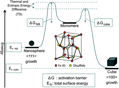 Proposed model showing energy diagram for the formation of two different crystal faces of pyrite. The pyrite crystal structure is presented in the middle.