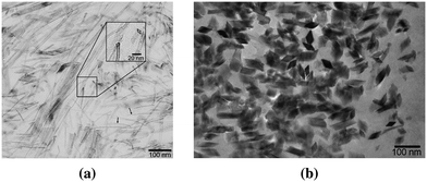 Goethite nanocrystals in limpet's radular teeth viewed along (a) side and (b) top. Reprinted with permission from ref. 74. Copyright 2005 American Society of Chemistry.