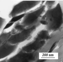 Smooth-textured 2-line ferrihydrite aggregates found in the floodplain at Kohr's Bend, Clark Fork River in Montana, U.S.A. From ref. 61, Copyright (2005), with permission from Mineralogical Society of America.