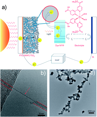 (a) Scheme of the dye-sensitized solar cell incorporating the SWCNT–TiO2 complex, (b) HRTEM image of a virus–SWCNT complex. A SWCNT is indicated by an arrow and the virus is indicated by dashed lines. (c) TEM micrograph of TiO2 biomineralized on the virus–SWCNT complex. Adapted from Dang et al.,27 with permission from Nature Publishing Group.