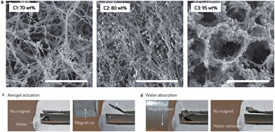 Bacterial nanocellulose aerogel decorated with different concentrations of ferrimagnetic CoFe2O4 nanoparticles (upper panel). A piece of magnetic aerogel is held using tweezers and a small household magnet is used to bend the magnetic aerogel upwards (bottom left panel). The magnetic aerogel bends downwards in response to the magnet and absorbs the water droplet below, recovering its original shape upon removal of the magnet (bottom right panel). Adapted from ref. 38.