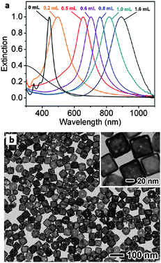 (a) UV-Vis spectra of gold nanocages with increasing concentrations of titrated aqueous HAuCl4; (b) TEM images of gold nanocages (∼50 nm edge length). Modified and reproduced with permission from ref. 15.