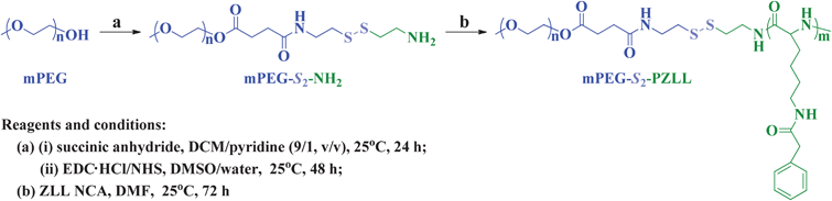 Synthesis pathway for mPEG-S2-PZLL.