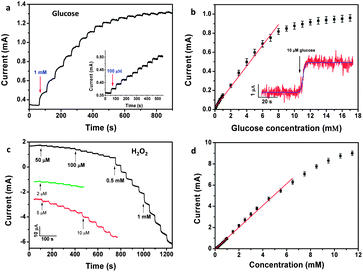 (a) Amperometric response of the Mn3O4/3DGF composite electrode at 0.4 V upon the successive addition of 1 mM and 100 μM glucose (inset). (b) Calibration curve of the composite material-based glucose sensor. The inset shows the current response of the composite electrode toward the addition of 10 μM glucose. (c) Amperometric response of the Mn3O4/3DGF composite electrode toward successive addition of H2O2 at 0 V. (d) The calibration curve of the Mn3O4/3DGF electrode for H2O2.