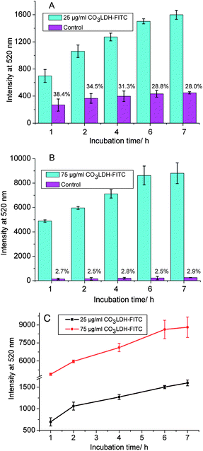 Cellular uptake kinetics into NSC 34 cells under different incubation times. The observed FITC fluorescence extracted from the cells in the presence of (A) 25 μg ml−1 and (B) 75 μg ml−1 CO3LDH-FITC nanoparticles; (C) comparison of the rate of FITC fluorescence uptake between the two concentrations. The data were obtained from duplicated experiments.