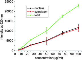 Cellular uptake curves for CO3LDH-FITC with NSC 34 cells. Intracellular distribution (nucleus and cytoplasm) as a function of concentration of CO3LDH-FITC. The data were obtained from three separated experiments.