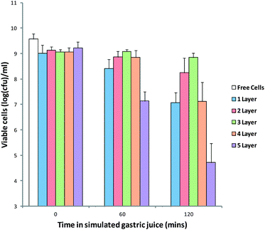 Viability of free and MCAM encapsulated B. breve during exposure to the simulated gastric solution. Limit of detection: 3.0 log(CFU) per mL. Data given as mean (n = 3) ± standard deviation.