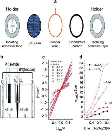 (a) Schematic representation of the transversal sequence of components in the final free-standing pPy membrane (14 mm of diameter). (b) Schematic picture of the diffusion cell showing the membrane (m) in between half-cells I and II. The membrane oxidation state is controlled by a potentiostat (P1). The potential gradient across the membrane is controlled by a bipotentiostat (P2) which imposes the required current. (c) Evolution of the current density when the potential gradient across the membrane (ΔΦm) is varied from −0.5 to +0.5 V. Pre-polarization potentials (Ep), indicated in the figure, were applied for 600 s to attain different oxidation degrees of the pPy film. Electrolyte: a 0.1 M KCl aqueous solution at both sides of the membrane. (d) Ionic conductivity through the pPy membrane (σionic) as a function of the pre-polarization potential (Ep) for different studied electrolytes and concentrations at 296 K (reproduced from ref. 23a with permission from Elsevier).