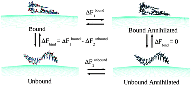 A schematic of the thermodynamic cycle used for the free energy calculation. All systems contain explicit water molecules and counter ions, which are not shown for the better clarity of the figure.