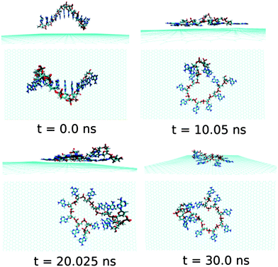 The simulated structures at various time interval for graphene@ssdA12. The water and ions are not shown for better clarity of the figure.