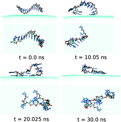 The simulated structures at various time intervals for graphene@ssdG12. The water and ions are not shown for better clarity.