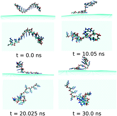 The simulated structures at various time intervals for graphene@ssdC12. The water and ions are not shown for better clarity.