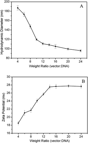 Hydrodynamic diameters (A) and zeta potentials (B) of MNPs@PMEO2MA50-PDMAEMA150/pDNA complexes at different weight ratios.