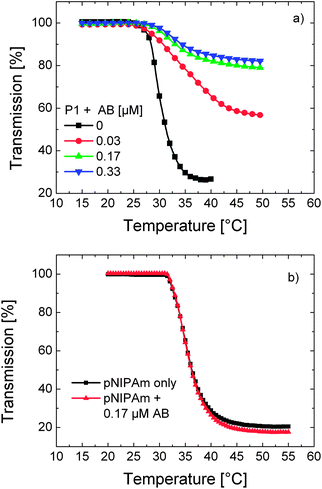 Temperature–transmission profiles of (a) P1 solution in PBS (0.1 g L−1) containing varying amounts of the antibody (AB) (0, 0.03, 0.17, and 0.33 μM) and (b) a solution of unlabelled pNIPAm in PBS (0.01 g L−1) in the presence (red triangles) and absence of the antibody (0.17 μM) (black squares).