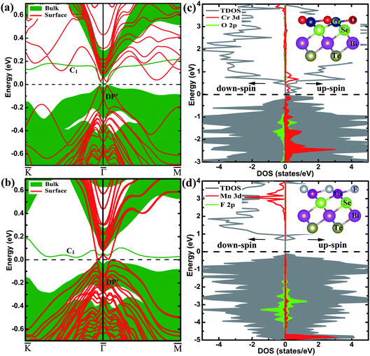 The electronic structures of Bi2Te2Se with the Cr/O and Mn/F co-substitutions. The band structures calculated for the (a) Cr/O co-substituted and (b) Mn/F co-substituted 6QL-slab with SOC, and their corresponding bulk band projections are represented by the shaded areas. The total and projected DOS plots for the 6QL-slab (c) with the Cr/O co-substitution and (d) with the Mn/F co-substitution without SOC, the shaded areas indicate the occupied states. The Fermi level is indicated by the dashed line at 0 eV. The insets in panels (c) and (d) show the side view of the outermost QLs with the Cr/O and Mn/F co-substitutions, respectively.