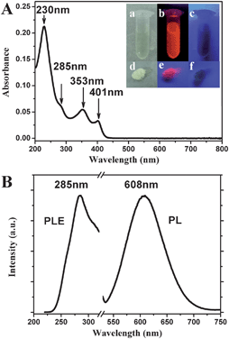 (A) UV-vis absorption spectrum of the as-prepared 11-MUA-AuNCs. The inset shows the photographs of 11-MUA-AuNCs in aqueous solution (top) or the freeze-dried powder (bottom) under irradiation of visible light (a and d), 254 nm light (b and e) and 365 nm light (c and f), respectively. (B) Fluorescence excitation and emission spectrum of 11-MUA-AuNCs.