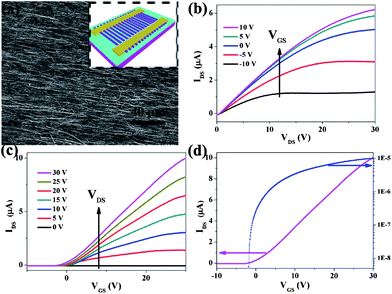 (a) SEM image of the printed aligned Zn2GeO4 nanowires arrays on the Si/SiO2 substrate. Inset is a schematic illustration of the Zn2GeO4 nanowire array based FET. (b) IDS–VDS curves and (c) IDS–VGS curves of a representative transistor. (d) IDS–VGS curves recorded for the same device plotted on linear (magenta) and logarithmic (blue) scales at VDS = 30 V.