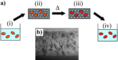 (a) Schematic description of the protected annealing process. The initial point (i) is an aqueous or alcoholic solution of nanoparticles, which are then dispersed in a surfactant templated silica matrix. After gelation, this composite is calcinated at 450 °C in air to obtain a mesoporous silica matrix embedding the nanoparticles (ii). A high temperature treatment is applied, leading to annealed nanoparticles dispersed in the silica matrix (iii). The last step of the process is to remove the silica matrix by a fluorhydric acid treatment, leading to an aqueous solution containing the annealed nanoparticles (iv). (b) SEM image of a typical mesoporous silica matrix containing TiO2 nanoparticles (adapted from ref. 12).