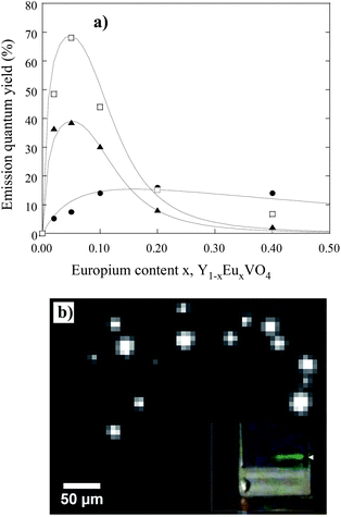 (a) Evolution of the luminescence quantum yield of Y1−xEuxVO4 as-made nanoparticles (●), annealed nanoparticles (□) and bulk material (□), as a function of the Eu doping concentration x (adapted from ref. 13). (b) Wide-field fluorescence microscopy image of annealed Y0.78Yb0.2Er0.02VO4 nanoparticles deposited onto a glass slide. The nanoparticle emission is centered at 550 nm under a 980 nm excitation (8 kW cm−2). This image was taken with an acquisition time of 500 ms.27