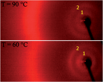 X-ray patterns for N* (top) and N2 (bottom) phases for dimer n = 5. Signals marked with 1 and 2 correspond to full and half molecular lengths, L and L/2, respectively.