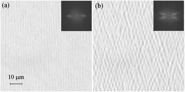 (a) System of stripes in the N2 phase of homologue n = 15 in a 3 micron thick cell just below the phase transition from the N* phase, observed with light polarized along the rubbing direction. (b) Two systems of stripes inclined from the initial direction, observed in the N2 phase, few degrees below the phase transition. In the insets Fourier transform of the optical pattern is shown.