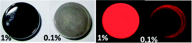 Picture of the polymer composite containing the luminescent 1@MWNCNTs in 1 and 0.1% (w/w) ratio [under the day light (left panel) and UV light at 365 nm (right panel)].