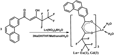 Synthetic procedure for complexes 1 and 3.