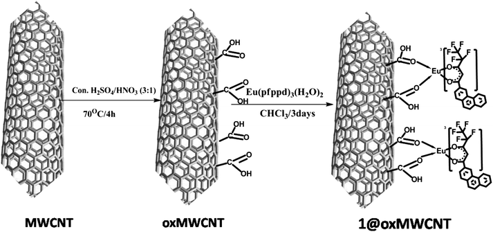 Synthesis pathway of 1@oxMWCNTs.