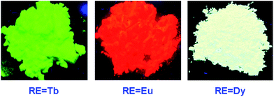 The photos of NaGdMg(W0.5Mo0.5)O6:Tb0.4/Eu0.5/Dy0.3 phosphors under a 365 nm UV lamp.