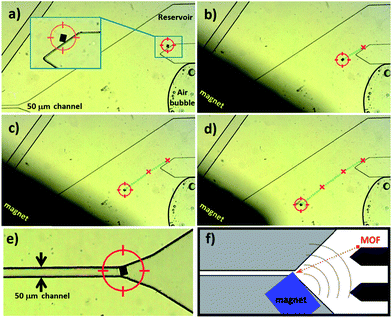 Optical microscope images presenting the motion of NH2–MC–FC within a microfluidic circuit. The cubic MOF crystal is attracted by the external magnet (a–d) that can be used to control the porous particle location. For example, the crystal can be positioned for gating a channel (e). (f) The overall microfluidic circuit.