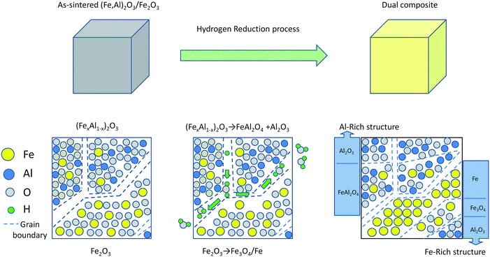 Schematic diagram showing the fabrication of the dual composites.