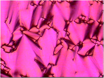 Optical polarising microscopy image of 5 at 20 °C (magnification 100×).