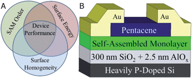 (A) Interplay of three SAM surface factors that lead to dictate pentacene device performance. (B) Pentacene FET device architecture. From bottom: a heavily P-doped Si wafer with 300 nm thermally grown SiO2, 2.5 nm plasma deposited AlOx layer, self-assembled monolayer, 40 nm thick thermally evaporated pentacene, 50 nm thick thermally evaporated Au source and drain electrodes. Both pentacene and electrodes patterned by a shadow mask.