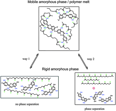 Scheme of thermochromism by interaction between PLA and cyanidin, way 1: without phase separation, way 2: phase separation.