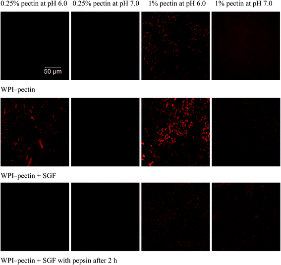 image file: c3fo60331h-f5.tif