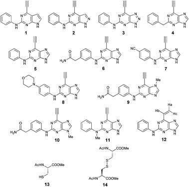 image file: c3ob41806e-u1.tif