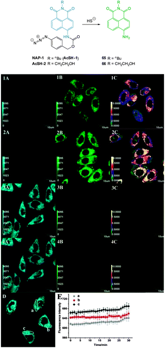 image file: c4cs00372a-f63.tif