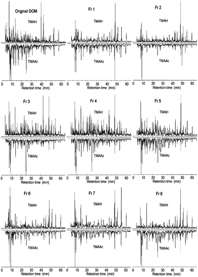 image file: c5em00223k-f10.tif