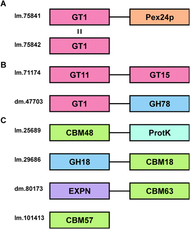 image file: c5mb00319a-f5.tif